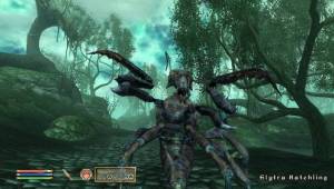 si_15B — Скриншоты The Elder Scrolls IV: Oblivion