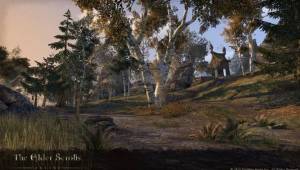 ON-prerelease-The_Rift — Скриншоты The Elder Scrolls Online