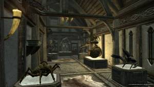 Трофейная комната — Hearthfire The Elder Scrolls V: Skyrim
