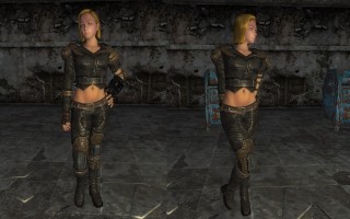 Type V Female Body and Armor Replacer