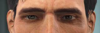 The Eyes Of Beauty Fallout Edition — скриншот 3