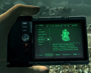 Pipboy Readius — скриншот 3