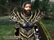 TT Equipable Beards for Nehrim — скриншот 3