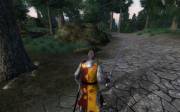 Ibelin Knight Armor for Nehrim — скриншот 3