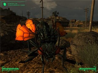 Cazador Companion — скриншот 4