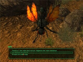 Cazador Companion — скриншот 5