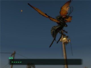 Cazador Companion — скриншот 3