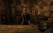 Norman's remodeling — скриншот 5