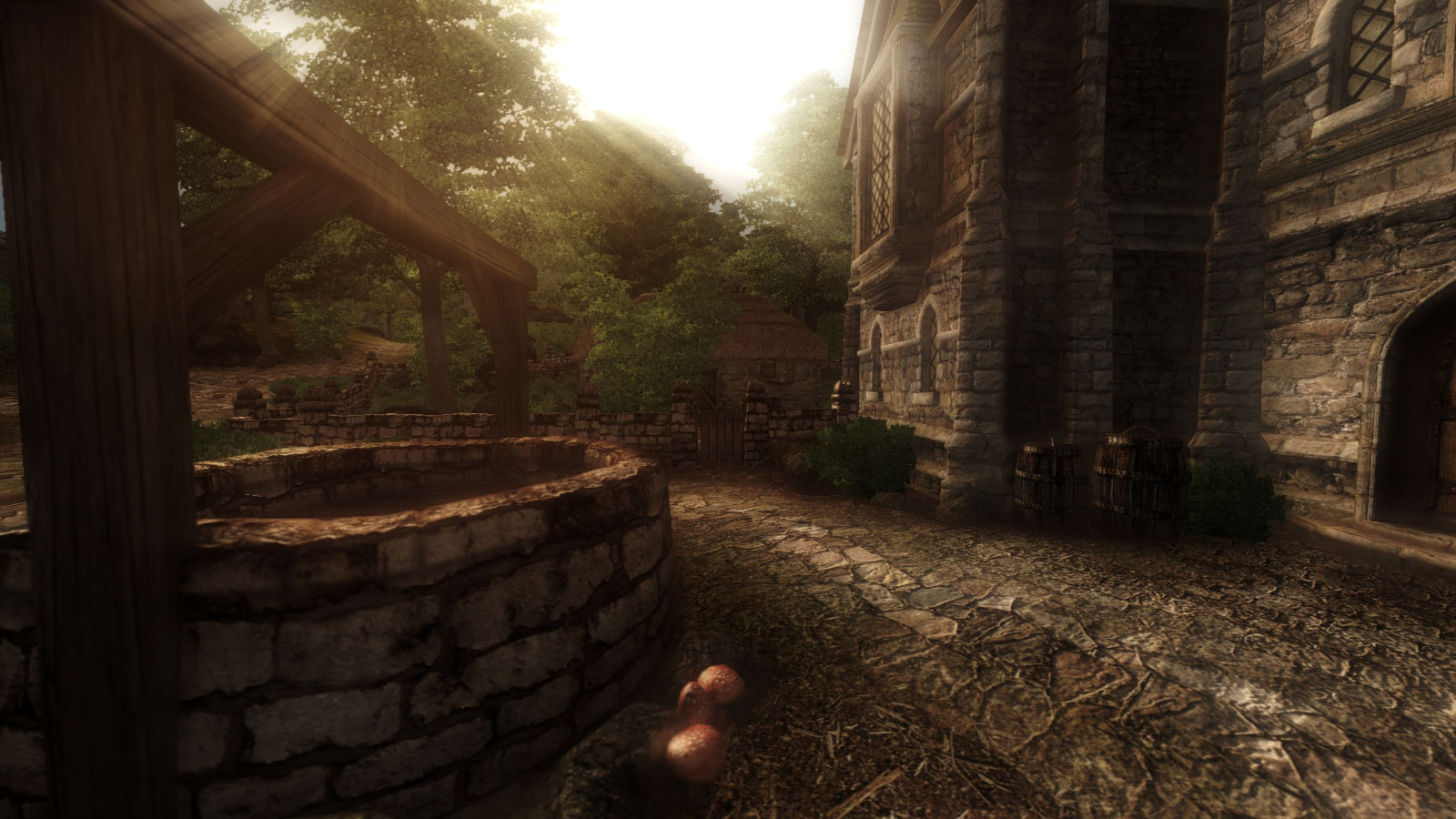 Oblivion Graphics Extender — Модификация Для The Elder Scrolls IV.