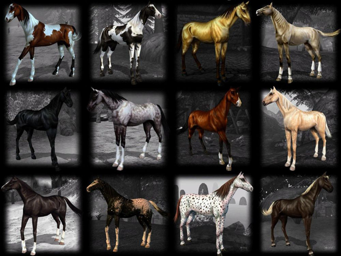 High-Rez Horse Textures