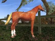 Pegas Horse Ranch — скриншот 2