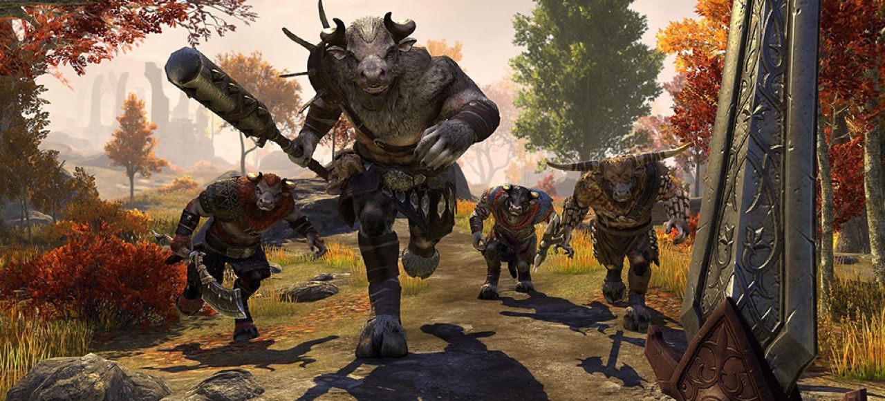 ESO: Update 52 вышел на тестовый сервер — PvP-зона Jerall Pass, ледяные бури в Скайриме и мини-карта