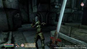 obx31B — Скриншоты The Elder Scrolls IV: Oblivion