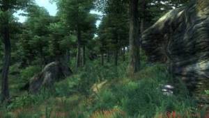 obliv31B — Скриншоты The Elder Scrolls IV: Oblivion