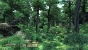 obps327B — Скриншоты The Elder Scrolls IV: Oblivion