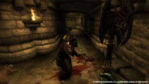 obx30B — Скриншоты The Elder Scrolls IV: Oblivion