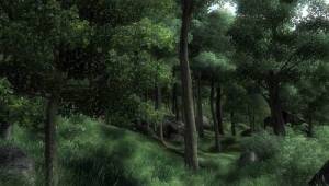 obliv19B — Скриншоты The Elder Scrolls IV: Oblivion