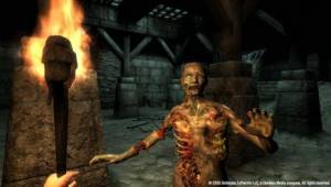 obliv27B — Скриншоты The Elder Scrolls IV: Oblivion