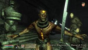 si_04B — Скриншоты The Elder Scrolls IV: Oblivion
