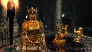 si_13B — Скриншоты The Elder Scrolls IV: Oblivion