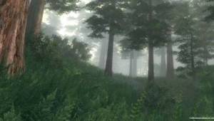 obliv32B — Скриншоты The Elder Scrolls IV: Oblivion