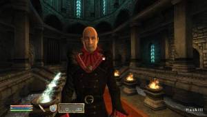 si_16B — Скриншоты The Elder Scrolls IV: Oblivion