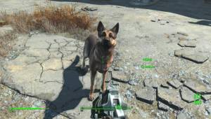Значит ты у нас Псина — Слитые скриншоты Fallout 4
