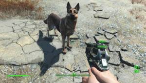 Привет, собачка! — Слитые скриншоты Fallout 4