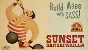 Build mass wits SASS! — Арты Fallout New Vegas