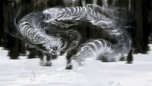 Ледяные призраки — Арты The Elder Scrolls V: Skyrim