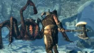 Герой, атакующий паука — Скриншоты The Elder Scrolls V: Skyrim