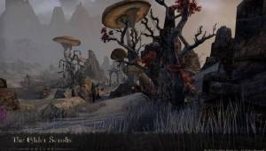 ON-prerelease-Stonefalls — Скриншоты The Elder Scrolls Online