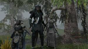 Скриншоты The Elder Scrolls Online