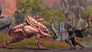 Яростное сражение — Скриншоты The Elder Scrolls Online