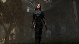 f1ex2Ve — Скриншоты The Elder Scrolls Online