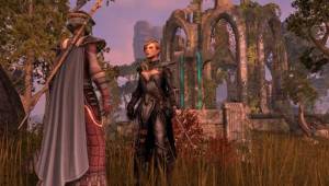 Разговор мага и воина — Скриншоты The Elder Scrolls Online