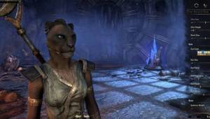 ON-prerelease-Khajiit_Face — Скриншоты The Elder Scrolls Online