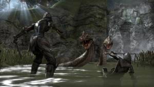 Сражение со змеями — Скриншоты The Elder Scrolls Online