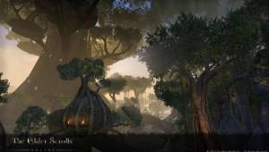 ON-prerelease-Grahtwood — Скриншоты The Elder Scrolls Online