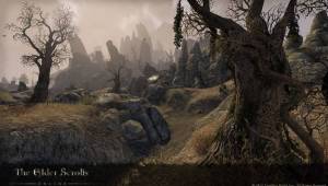 ON-prerelease-Rivenspire — Скриншоты The Elder Scrolls Online