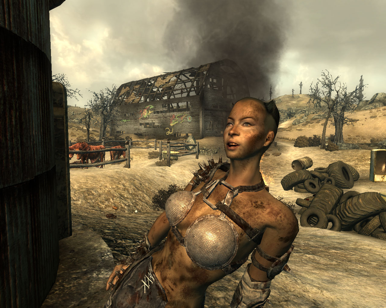 Fallout 4 девушки пустоши фото 20